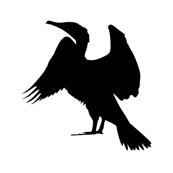 Vector silhouette of bird on white background - Διάνυσμα, εικόνα