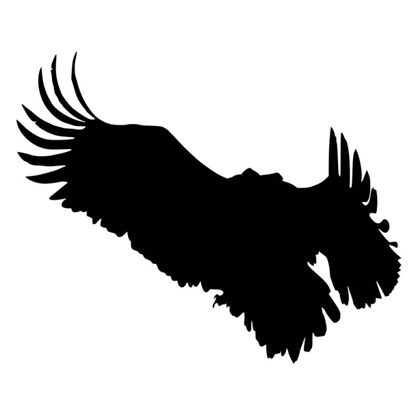 Vector silhouette of eagle on white background - Vector, Image