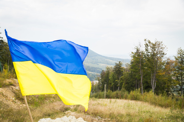 Mountain top with Ukrainian flag - Photo, Image