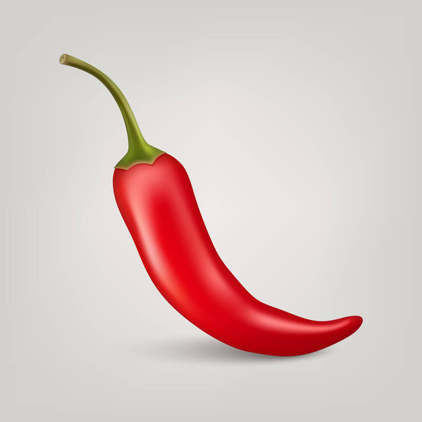 Vector 3d Realistic Red Whole Fresh and Hot Chili Pepper Closeup Isolated on White Background. Spicy Chili Hot Pepper Design Template. Front View. Vector Illustration. - Διάνυσμα, εικόνα