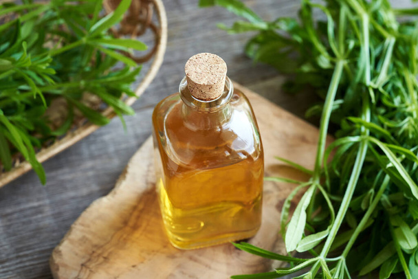 Una botella de tintura de hierbas con cuchillas frescas o una planta de aparino de Galium - Foto, imagen