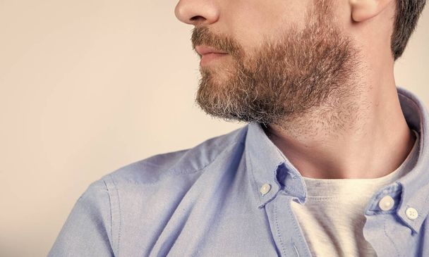 bearded man with beard and chin in studio. photo of bearded man with beard. bearded man with beard wearing casual shirt. bearded man with beard isolated on grey background. - Zdjęcie, obraz