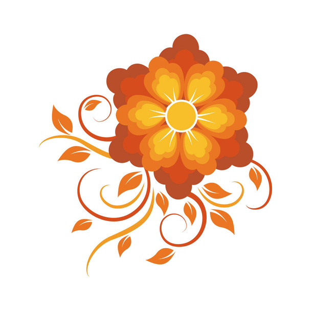 Orange flower on a white background - Vektori, kuva