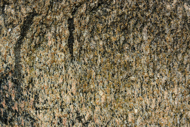 foto textuur van een reusachtige stenig, rotsblok in het park 8 - Foto, afbeelding