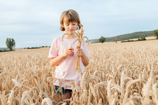 A happy girl gathers a bouquet of spikelets in the field in the summer. Harvest, summer holidays. The child enjoys nature, country life and freedom. - Foto, Bild