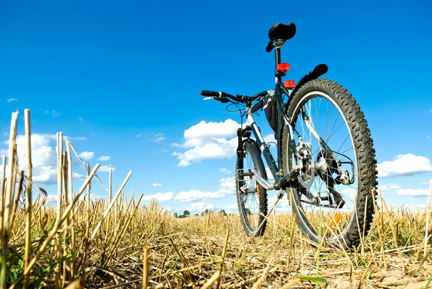 Bike - Foto, Imagen