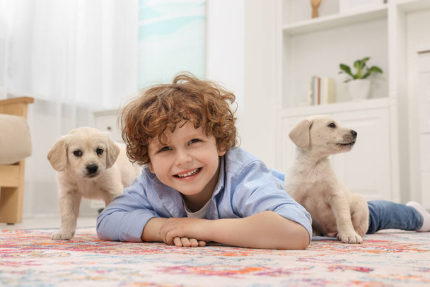 Little boy lying with cute puppies on carpet at home - Photo, image