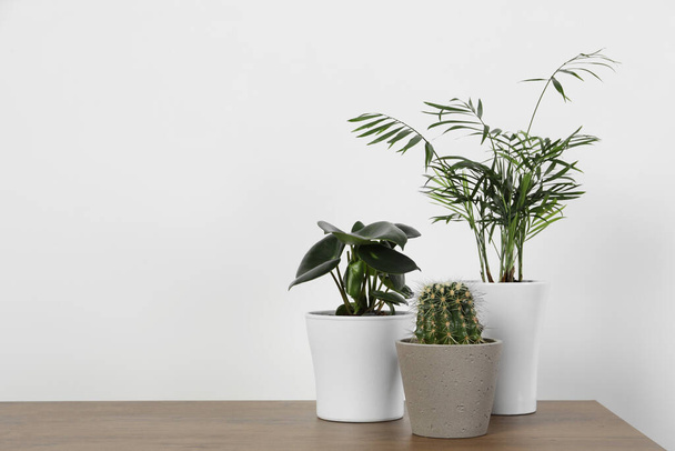 Many different houseplants in pots on wooden table near white wall, space for text - Fotoğraf, Görsel