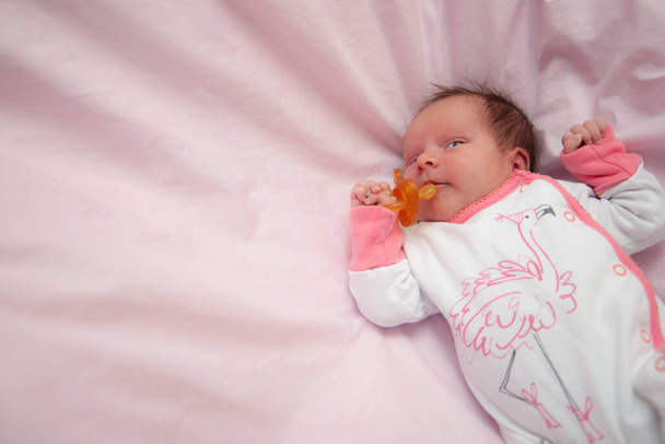 Mädchen, Säugling, Neugeborenes. Hell rosa Hintergrund, Platz für Text. Baby mit Schnuller. Süße Träume. Rosafarbener Flamingo. - Foto, Bild
