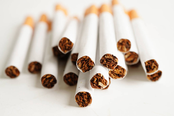 Cigarette, roll tobacco in paper with filter tube, No smoking concept. - 写真・画像