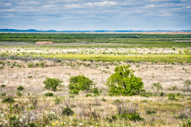 Un impresionante paisaje de interminables llanuras cubiertas de hierba salpicadas de pantanos y humedales, que se extiende hasta el horizonte bajo un hermoso cielo en el Parque Estatal San Angelo, Texas. Foto de alta calidad - Foto, Imagen