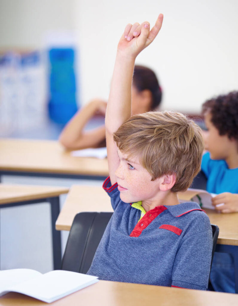 Classroom, child and raise hand for questions, support and help with education and teaching in school or classroom. Young boy or kid with arm up for knowledge, learning and class answer or advice. - 写真・画像