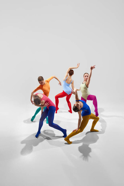 Group of talented, artistic female ballet dancers in bright, multicolored clothes performing against grey studio background. Concept of beauty, creativity, classic dance, elegance, contemporary art - Foto, Imagem