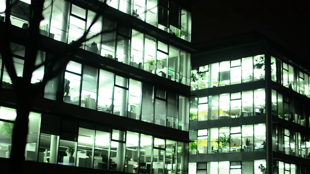 Obchodní domy (kanceláře) - noční - windows se světly - město - strom - Záběry, video