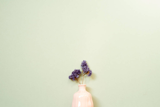 Vase of purple dry flower on mint background. copy space - Valokuva, kuva