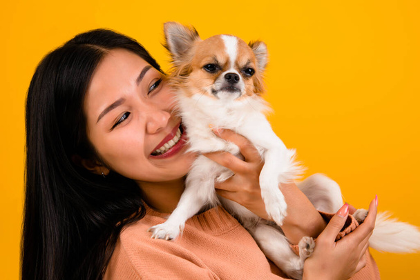 Linda mujer asiática con su chihuahua chihuahua amante del perro La felicidad de una chica que ama a su perro El amor de la gente y perros lindos sesión de fotos en estudio naranja - Foto, Imagen