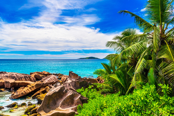 Seszele tropikalnej plaży - Zdjęcie, obraz