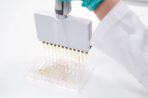 A multichannel pipette dispenser is used to load microplates for clinical diagnostic testing. - Fotoğraf, Görsel