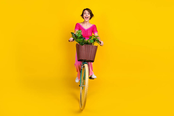Full length photo of impressed ecstatic woman wear pink knit top trousers riding bicycle with flower isolated on yellow color background. - Foto, Imagem