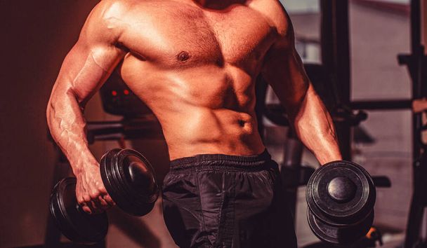 Atleta en el gimnasio entrenando con pesas. Abdominales y bíceps. Musculoso hombre en gimnasio fondo con mancuerna. - Foto, imagen