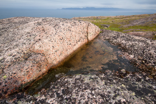 fresh water in rock among salty ocean - Valokuva, kuva