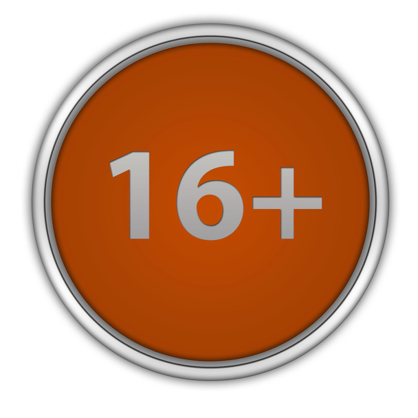 16 ícone circular sobre fundo branco
 - Foto, Imagem