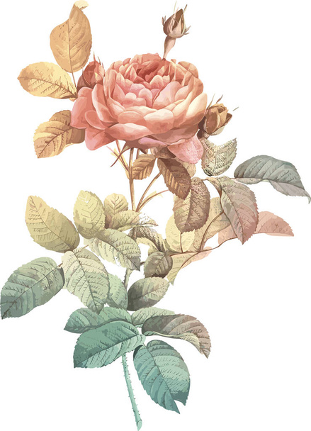 flower retro vector design art - Vetor, Imagem