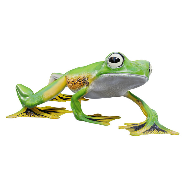 3d illustration of Wallace's Flying Frog - Photo, Image