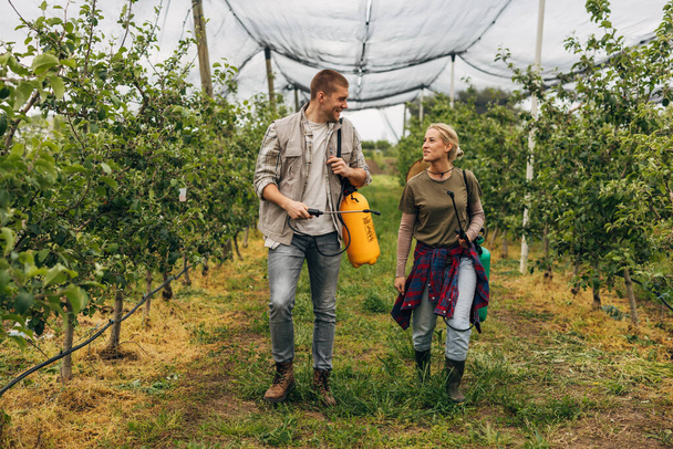 Two people are having fun working in the orchard. - Foto, Bild
