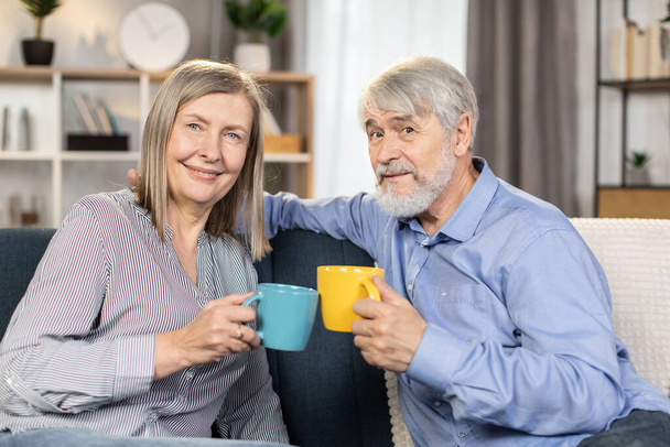 Portrait of happy senior family of two in casual attire sitting on comfortable sofa and smiling at camera. Affectionate people holding two cups of aromatic tea. Concept of love and life on retirement. - Photo, image
