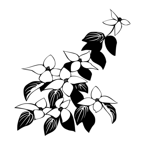 Векторний силует квітів на білому тлі
 - Вектор, зображення