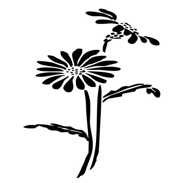 Silhouette vectorielle de fleurs sur fond blanc - Vecteur, image