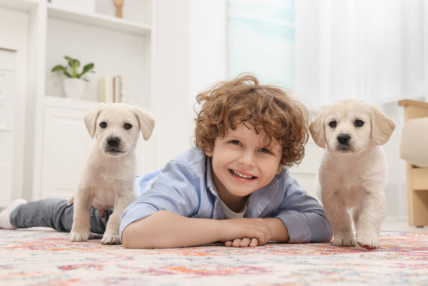 Little boy lying with cute puppies on carpet at home - Foto, afbeelding