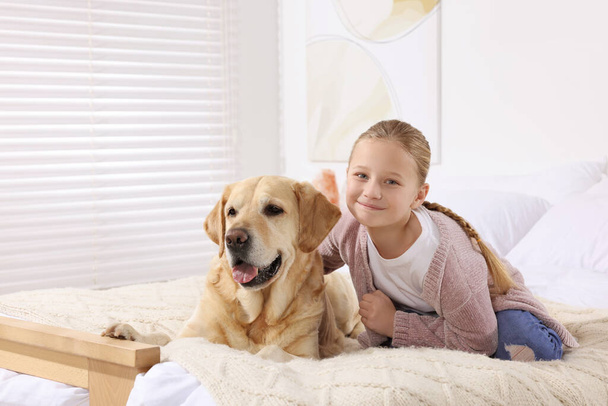 Cute child with her Labrador Retriever on bed at home. Adorable pet - 写真・画像
