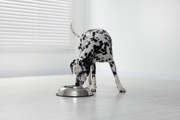 Adorable Dalmatian dog near silver bowl indoors - Фото, зображення