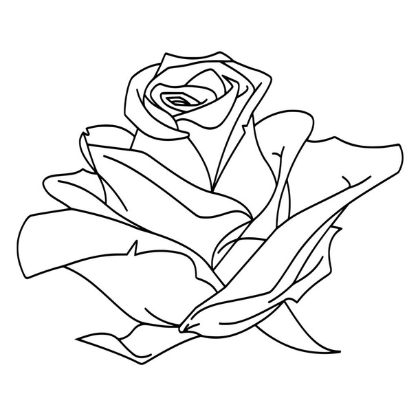 Vector silhouette of rose on white background - Vector, Image