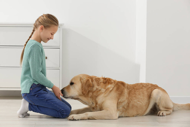 Cute child with her Labrador Retriever on floor at home. Adorable pet - Foto, imagen