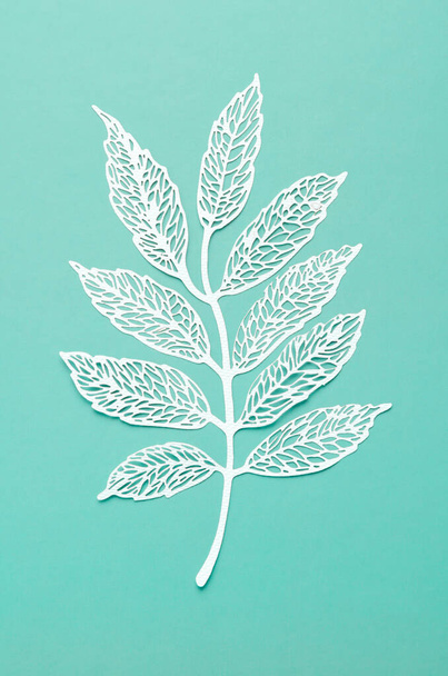 Carve of white paper leaves on a light green cardboard background. - Foto, immagini