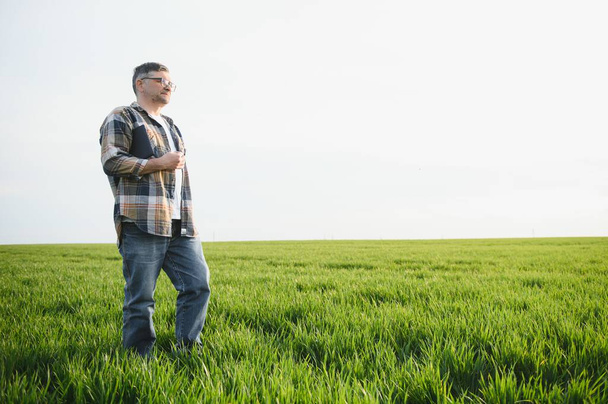 Portrait of senior farmer standing in green wheat field - Фото, зображення