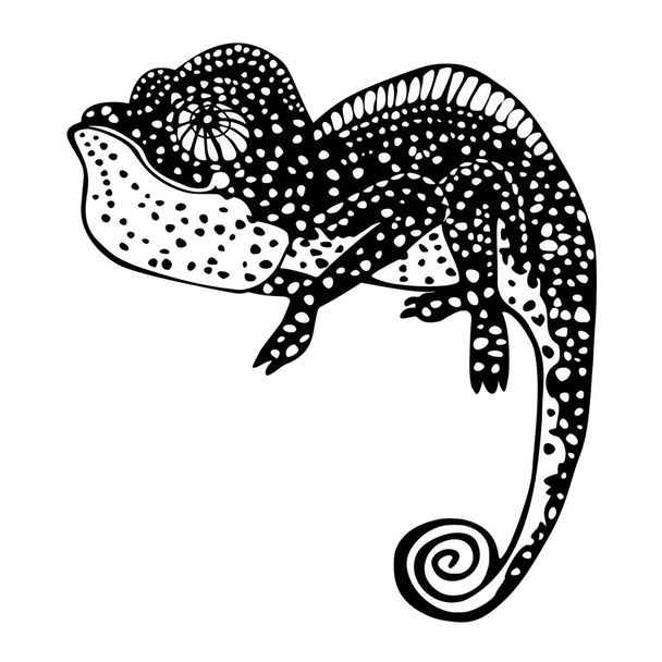 Vector silhouette of chameleon on white background - Wektor, obraz