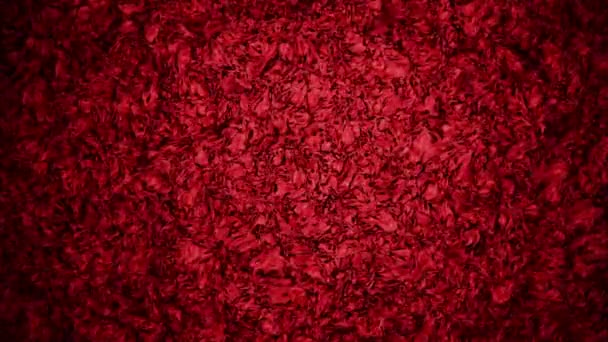Kırmızı Soyut Arkaplan - Video, Çekim