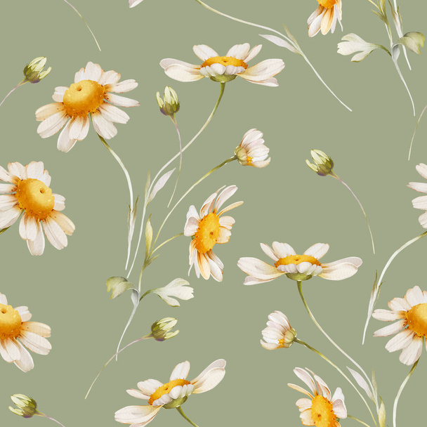 Seamless pattern with delicate daisies on a green background - Zdjęcie, obraz
