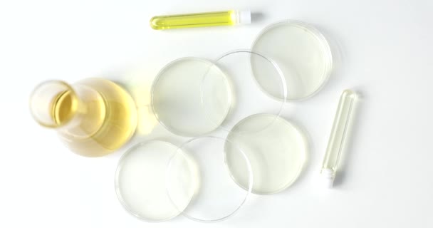 Empty glass Petri dishes stand on table on white background in laboratory office. Professional glassware for scientific researches slow motion - Footage, Video