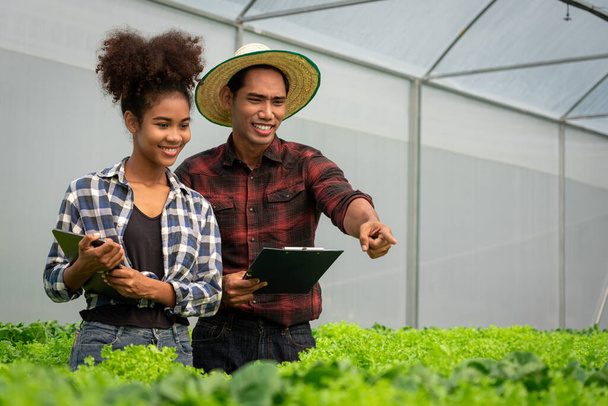 Coppie afroamericane leggono documento ed esaminano la crescita delle verdure in serra idroponica. - Foto, immagini
