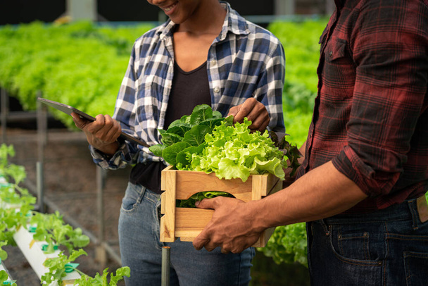 Pareja afroamericana llevando caja de verduras y trabajando en tableta en invernadero hidropónico. - Foto, imagen