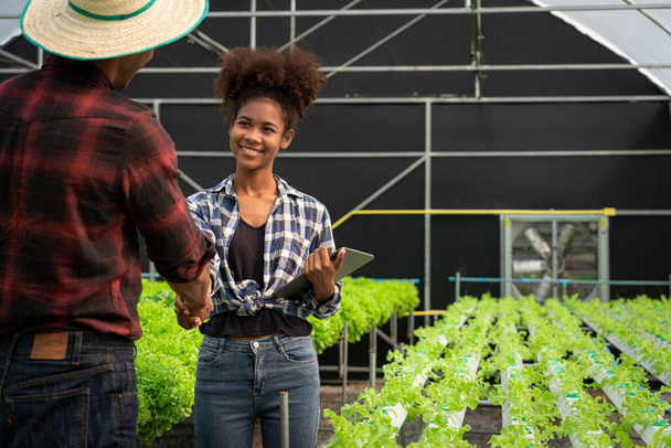 İki Afrikalı Amerikalı işten sonra salata hidroponiğinin kalitesini incelemede başarılı bir şekilde el sıkışıyor.. - Fotoğraf, Görsel