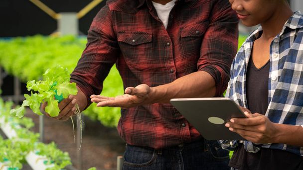 Couple afro-américain travaillant sur tablette et examiner la croissance des légumes en serre hydroponique. - Photo, image