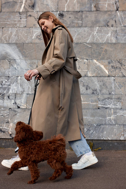 Retrato de larga duración de una joven rubia con un impermeable beige paseando a un perro caniche de juguete con una correa contra una pared de piedra gris. Caminar con una mascota en la calle - Foto, Imagen
