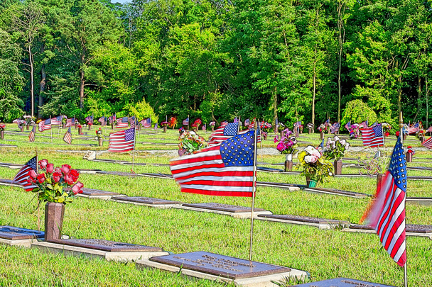 Sito commemorativo del veterano americano - Foto, immagini