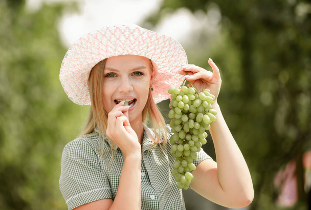 Joyeux sourire jeune femme cueillette des grappes de raisins dans un vignoble viticole pendant la récolte en été accroupi vers le bas pour couper le bouquet - Photo, image